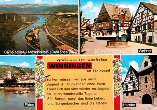 Winningen Mosel Fliegeraufnahme Campinginsel Moselbrück