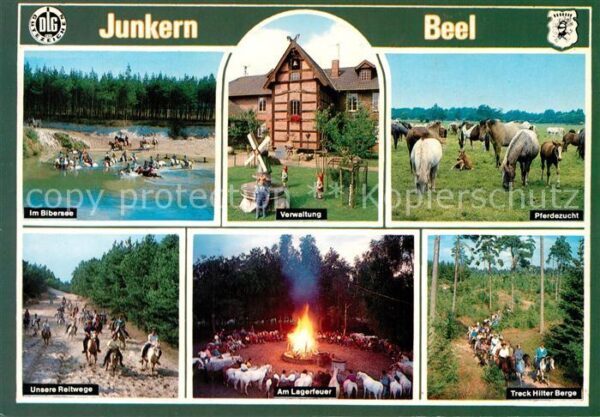 Lathen Ems Hilter Bibersee Pferde Reitweg Trec
