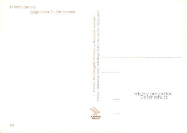 St Bartholomae Hirschfütterung – Bild 2