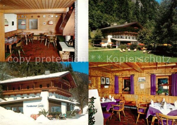 Mayrhofen Zillertal Gasthof Pension Forellenhof Linde