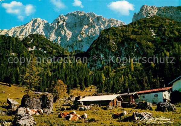 Kufstein Tirol Steinbergalm bei der Kaindlhütte mit Sc