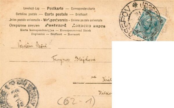 Buchstabenkarte Letter Lettre J.w.w B Kinder Frau Hund – Bild 2