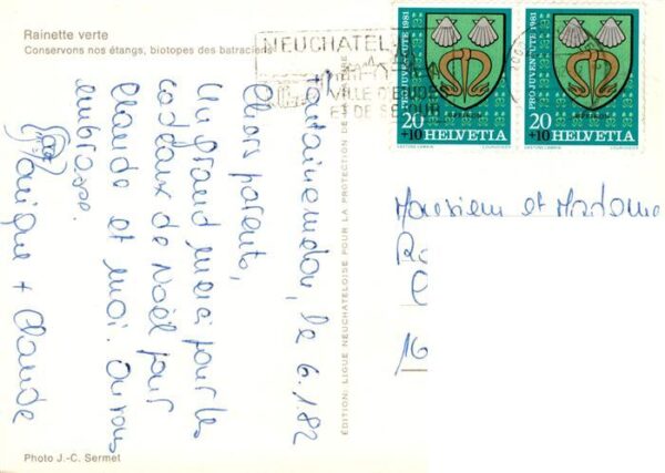 Froesche Rainette verte – Bild 2