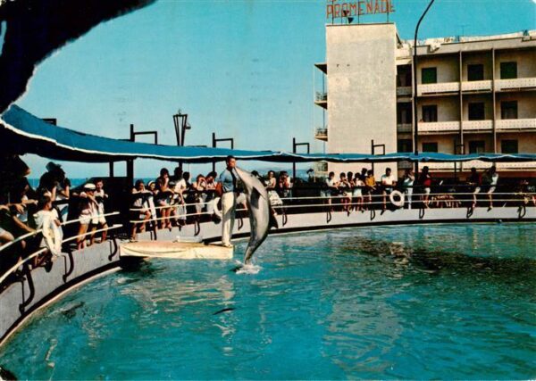 Delfine Delphine Dolphins Dauphins Delfines Aquarium RC 159/181