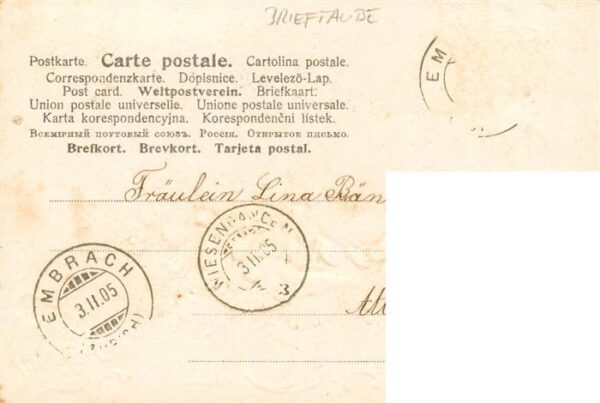 Brieftaube Carrier Pigeon voyageur Gottgruesse Dich – Bild 2