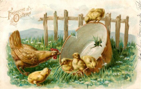 Ostern Easter Paques Pasqua Kueken Huhn