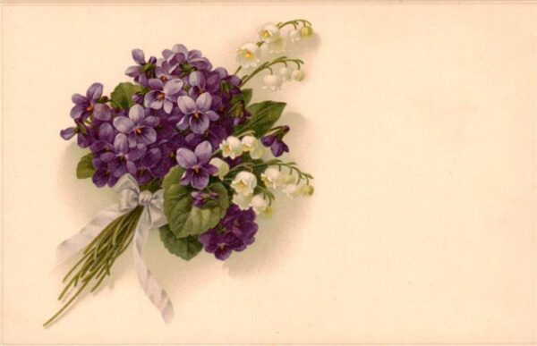 Verlag Meissner und Buch Serie 2208 Blumen