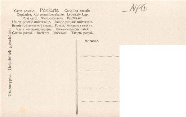 Foto NPG Nr. Nr. 429/4 Kind – Bild 2