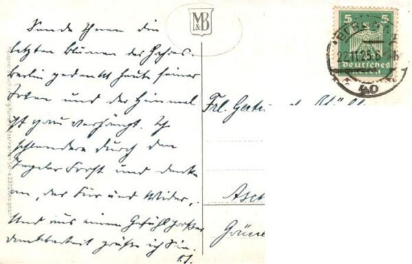 Verlag Meissner und Buch E. Haentzschel Astern – Bild 2