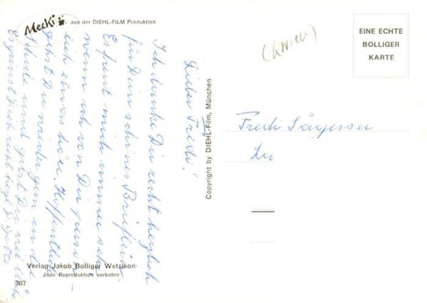 Mecki Nr. Nr. 307 Getroffen – Bild 2