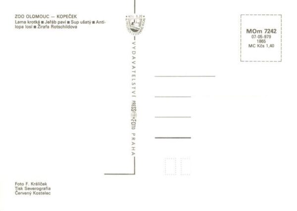 Zoo Gardin Zoologique-- Olomouc Kopecek – Bild 2