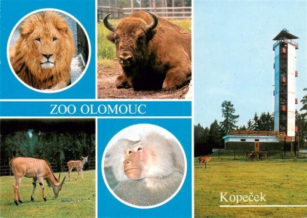Zoo Gardin Zoologique-- Olomouc Kopecek