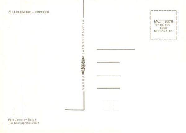 Zoo Gardin Zoologique-- Olomouc Kopecek – Bild 2