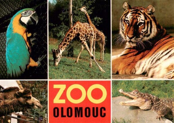 Zoo Gardin Zoologique-- Olomouc