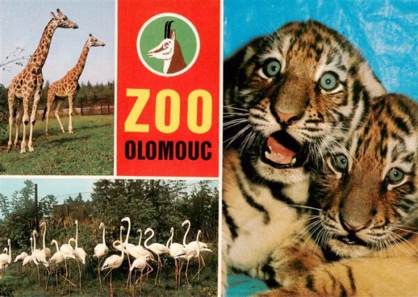 Zoo Gardin Zoologique-- Olomouc