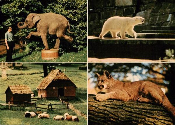 Zoo Gardin Zoologique-- Wuppertal Zoologischer Garten