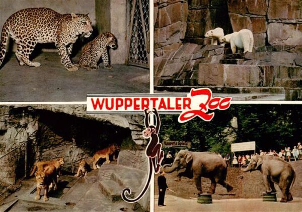 Zoo Gardin Zoologique-- Wuppertaler Zoo