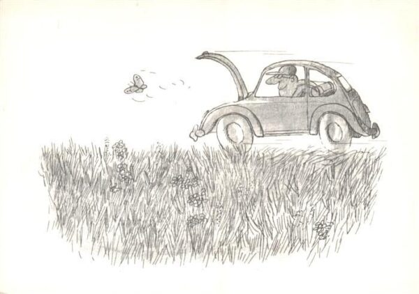VW Kaefer Volkswagen Jagt auf Schmetterling