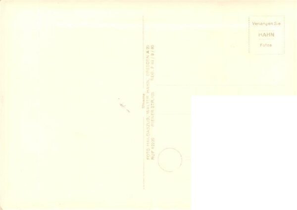 Foto Hahn Nr. Nr. 12125 Dresden Bad Weisser hirsch Luisenhof – Bild 2