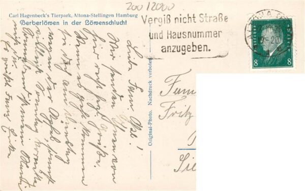 Zoo Gardin Zoologique-- Carl Hagenbecks Tierpark Hamburg-Stellingen Berberloewen – Bild 2