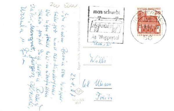 Zoo Gardin Zoologique-- Wuppertaler Zoo Elefant Loewe Eisbaer – Bild 2
