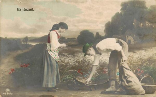 Foto RPH Nr. Nr. 4686/2 Erntezeit