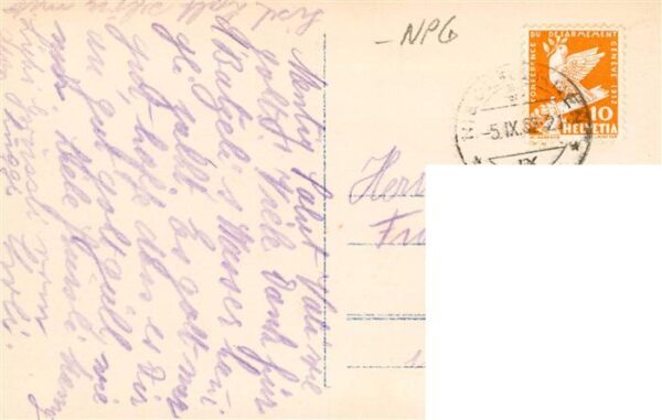 Verlag NPG Nr. Nr. 7660/6 Wald Blume – Bild 2