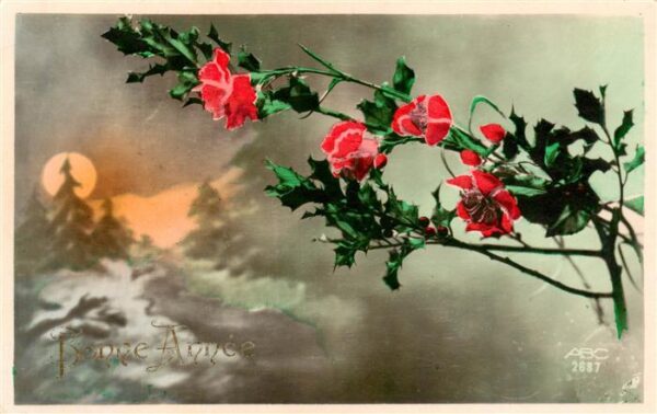 Foto ABC Nr. Nr. 2687 Bonne Annee Blume