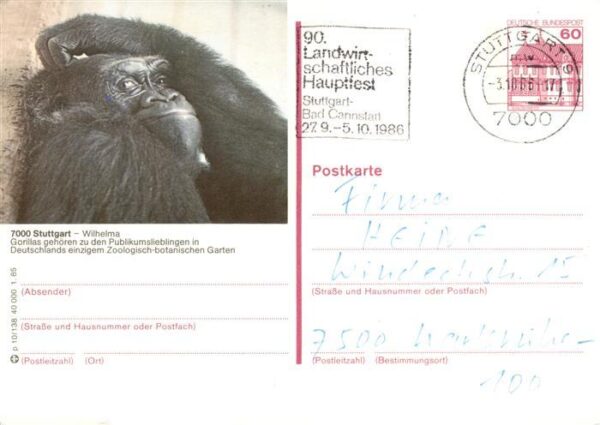 Zoo Gardin Zoologique-- Stuttdart Wilheima Gorilla