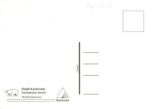 Zoo Gardin Zoologique-- Karlsruhe Loewen – Bild 2
