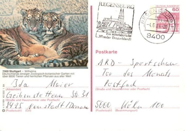 Zoo Gardin Zoologique-- Stuttgart Wilhelma  loewen