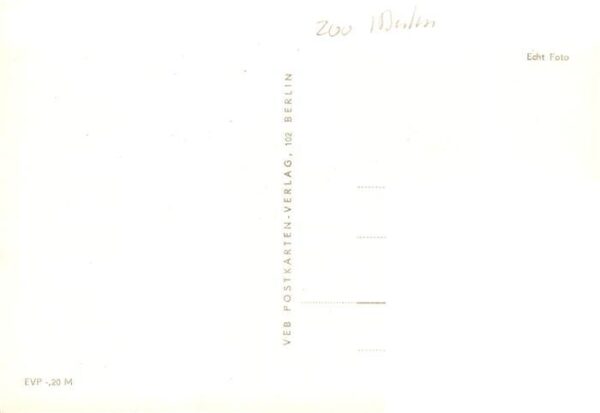 Zoo Gardin Zoologique-- Tieger – Bild 2