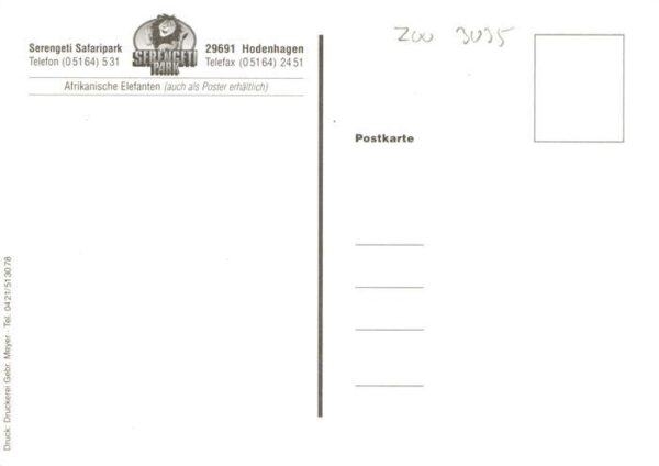 Elefant Serengeti Safaripark – Bild 2