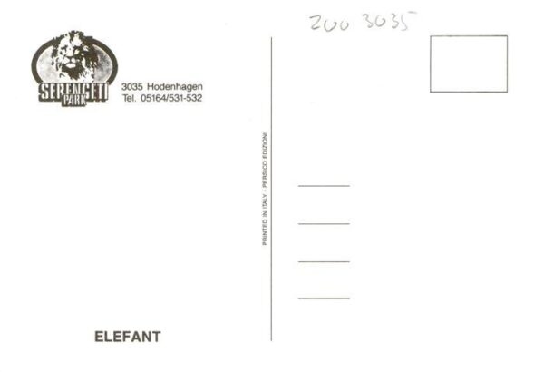 Elefant Serengeti Park – Bild 2