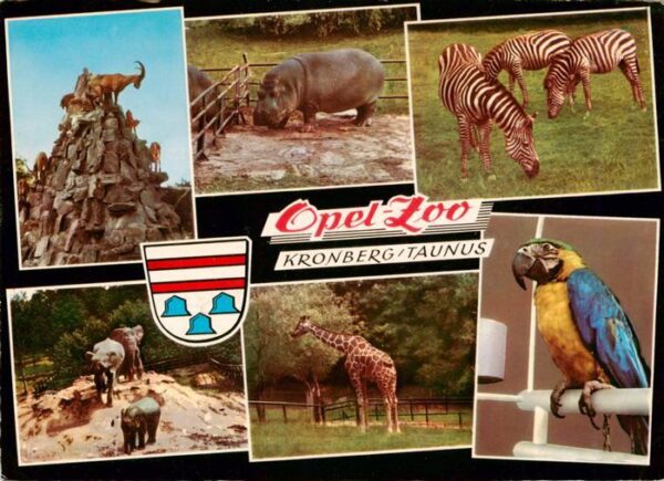 Zoo Gardin Zoologique-- Opel Zoo Kronberg Taunus Zebras Bergziegen Elefanten Pap
