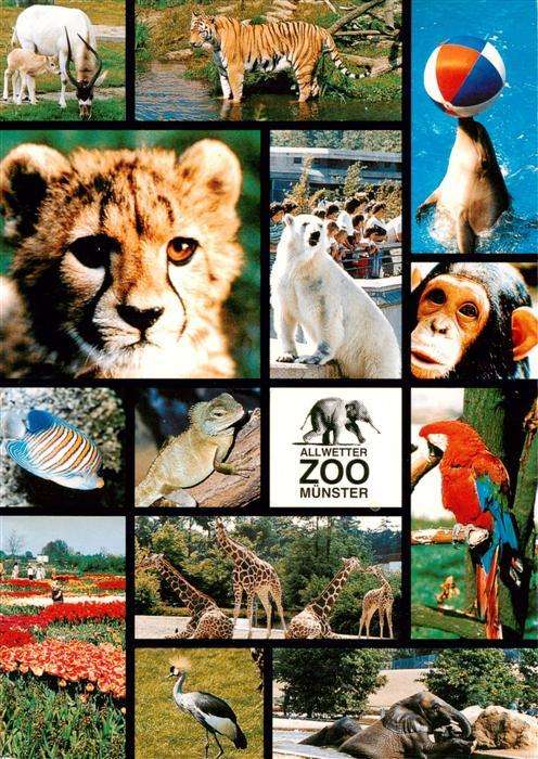 Zoo Gardin Zoologique-- Muenster