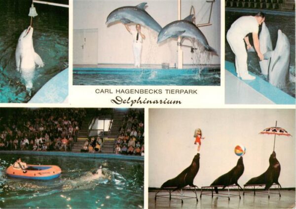 Delphine Dolphins Dauphins Delfines Carl hagenbecks Tierpark