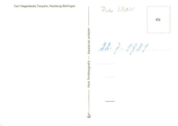 Delphine Dolphins Dauphins Delfines Carl hagenbecks Tierpark – Bild 2