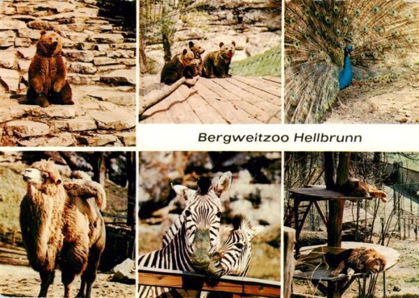 Zoo Gardin Zoologique-- Bergweltzoo Hellbrunn Salzburg