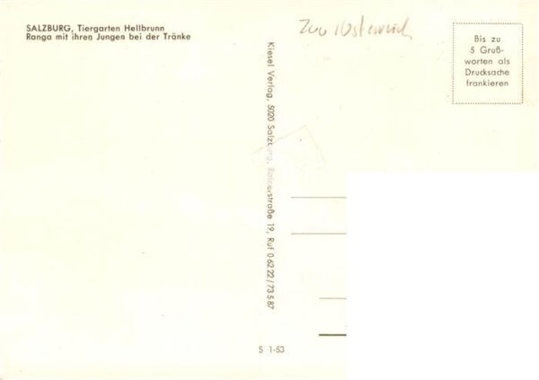 Zoo Gardin Zoologique-- Salzburg Hellbrunn Ranga Jungen bei der Traenke – Bild 2