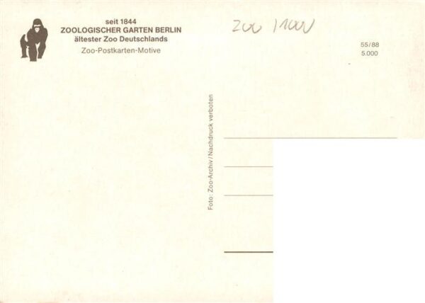 Zoo Gardin Zoologique-- Berlin – Bild 2
