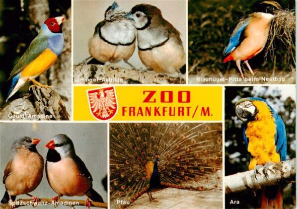 Zoo Gardin Zoologique-- Frankfurt am Main Spitzschwanz Amadinen Pfau Ara Blauflu