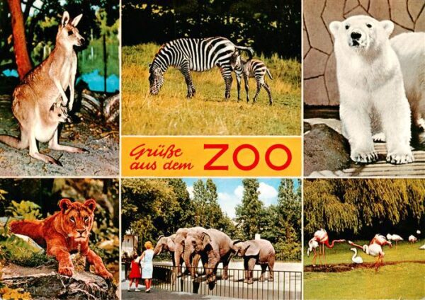 Zoo Gardin Zoologique-- Eisbaer Zebras Elefant Loewe