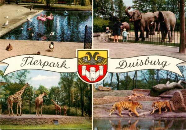 Zoo Gardin Zoologique-- Duisburg Giraffen Elefanten Tieger
