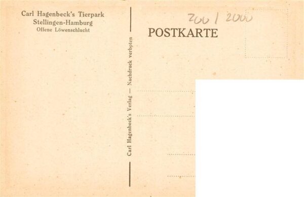Zoo Gardin Zoologique-- Carl Hagenbeck´s Tierpark Stellingen-Hamburg Offene Loew – Bild 2