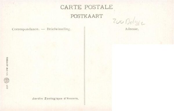 Zoo Gardin Zoologique-- Fautour Fauve – Bild 2