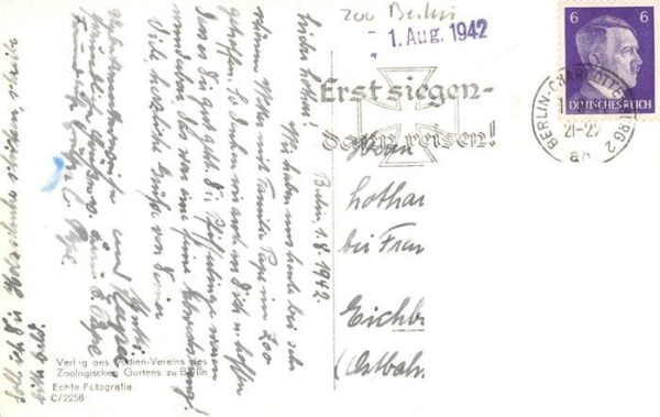 Zoo Gardin Zoologique-- Berlin Pinguine auf der Freianlage – Bild 2