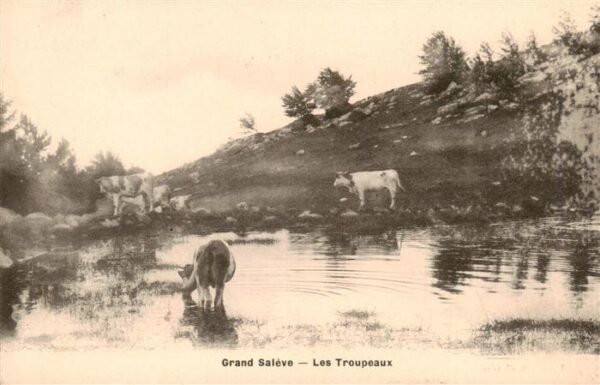 Landwirtschaft Grand Saleve Les Troupeaux