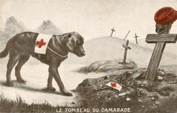 Hunde dogs chiens Tombeau du Camarade Kreuz Friedhof