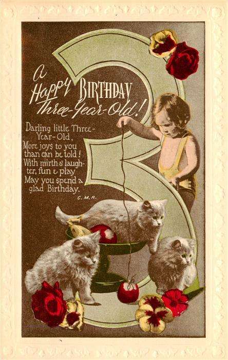 Geburtstag Zum 3 Geburtstag Kind Katzen